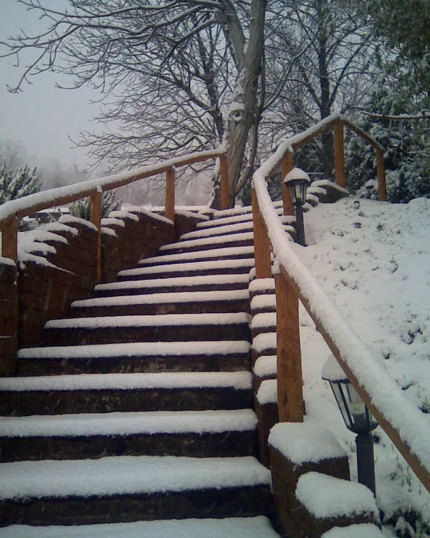 Le Spighe Agriturismo Cesena Exterior foto