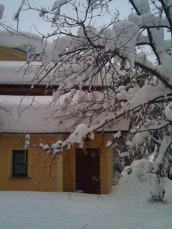 Le Spighe Agriturismo Cesena Exterior foto