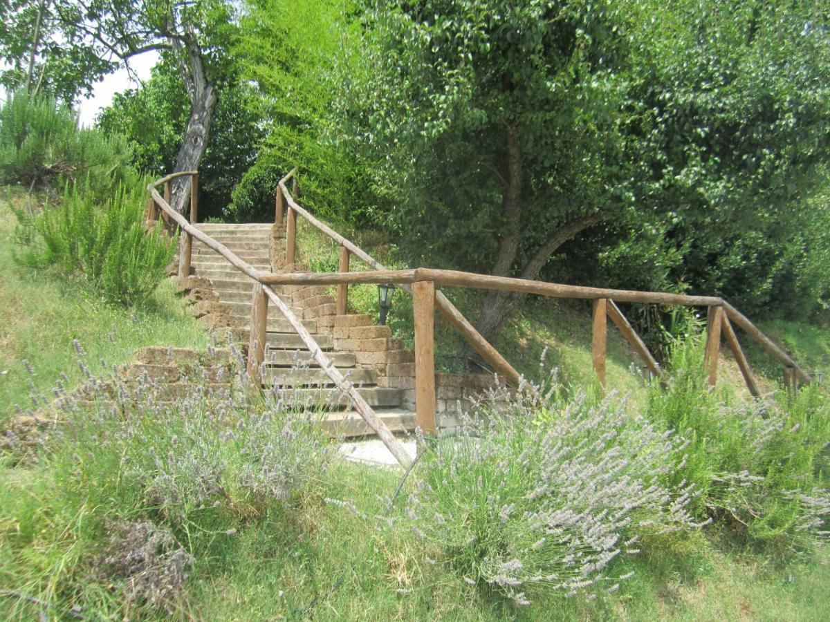 Le Spighe Agriturismo Cesena Exterior foto